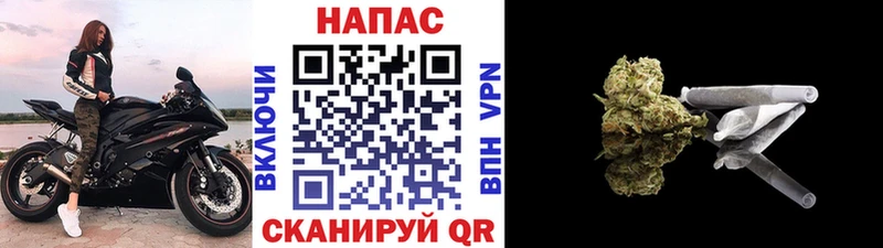 дарнет шоп  Гаврилов-Ям  Бошки Шишки SATIVA & INDICA 